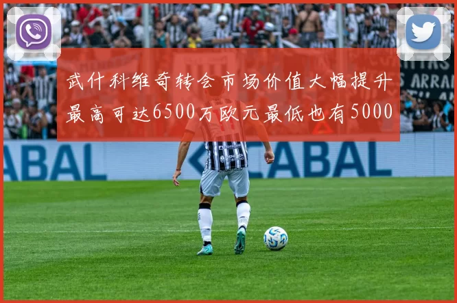 武什科维奇转会市场价值大幅提升最高可达6500万欧元最低也有5000万欧元